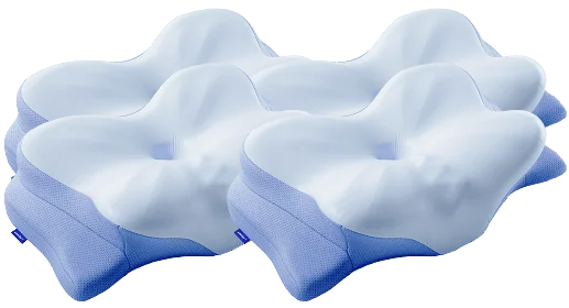 Four Derila Ergo pillows