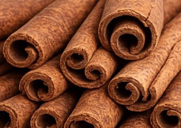 Close-up of cinnamon bark sticks